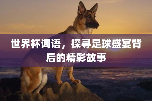 世界杯词语，探寻足球盛宴背后的精彩故事吉安市靖泰电力工程有限公司