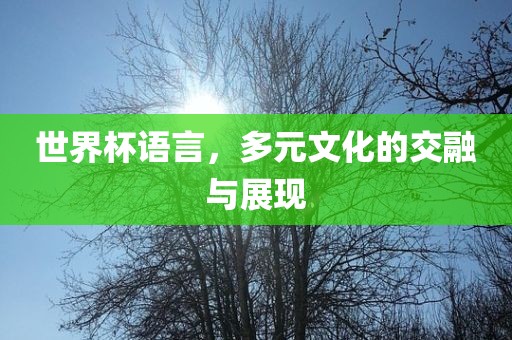 吉安市靖泰电力工程有限公司世界杯语言，多元文化的交融与展现