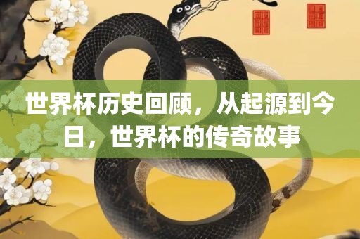 世界杯历史回顾，从起源吉安市靖泰电力工程有限公司到今日，世界杯的传奇故事