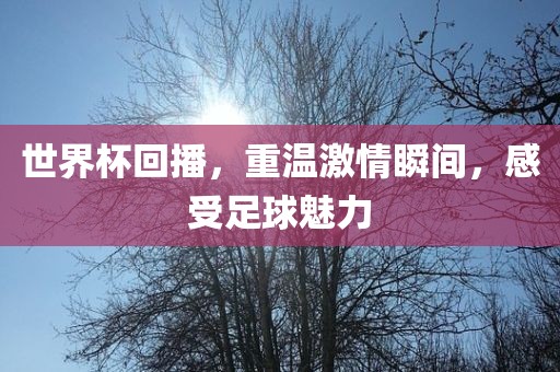 世界杯回播，重温激情瞬间，感受足球魅力吉安市靖泰电力工程有限公司