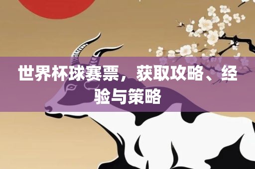 世界杯球吉安市靖泰电力工程有限公司赛票，获取攻略、经验与策略