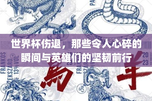 世界杯伤退，那些令人心碎的瞬间与英雄们的坚韧前行吉安市靖泰电力工程有限公司