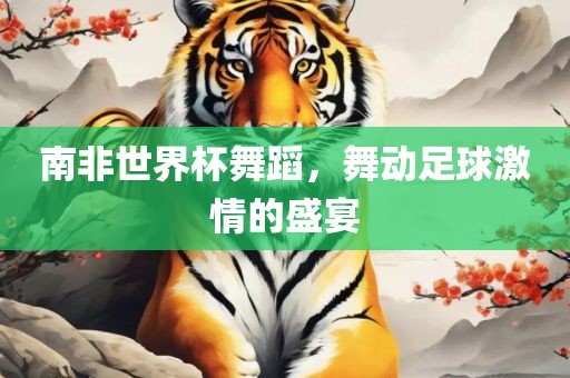 南非世界杯舞蹈，舞动足球激情的盛宴