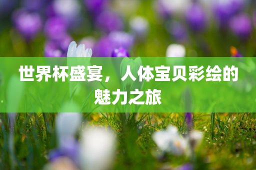 世界杯盛宴，人体宝贝彩绘的魅力之旅