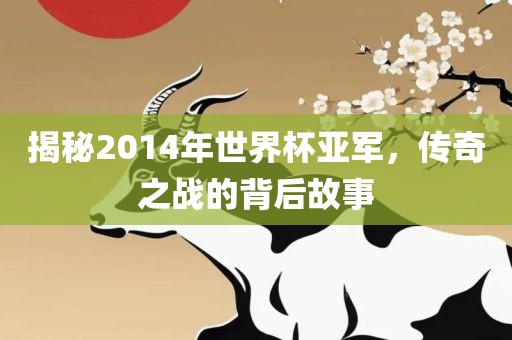 揭秘2014年世界杯亚军，传奇之战的背后故事吉安市靖泰电力工程有限公司