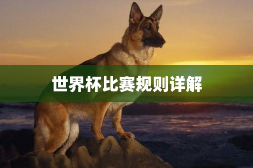 世界杯比赛规则详解