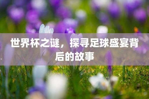 世界杯之谜，探寻足球盛宴背后的故事吉安市靖泰电力工程有限公司