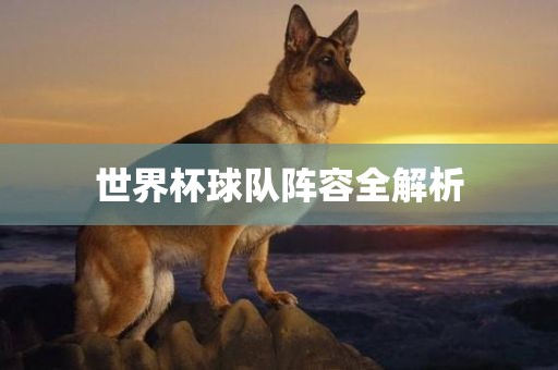 世界杯球队阵容全解析