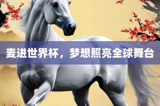 麦进世界杯，梦想照亮全球舞台吉安市靖泰电力工程有限公司