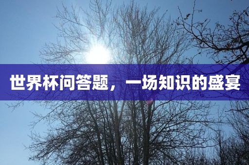 世界杯问答题，一场知识的盛宴吉安市靖泰电力工程有限公司