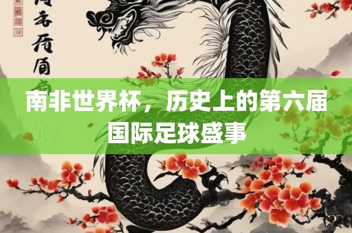 南非世界杯，历史上的第六届国际足球盛事