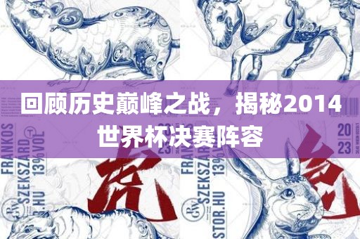 回顾历史巅峰之战，揭秘2014世界杯吉安市靖泰电力工程有限公司决赛阵容