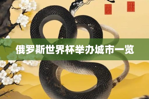 俄罗斯世界杯举办城市一览
