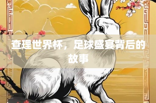 查理世界杯，足球盛宴背后的故事吉安市靖泰电力工程有限公司