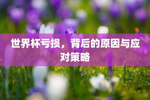 世界杯亏损，背后的原因与应对策略吉安市靖泰电力工程有限公司