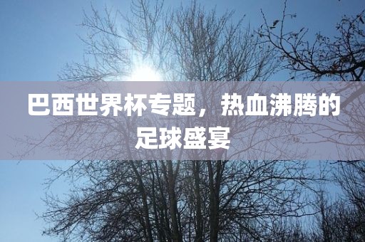 巴西世界杯专题，热血沸腾的足球盛宴