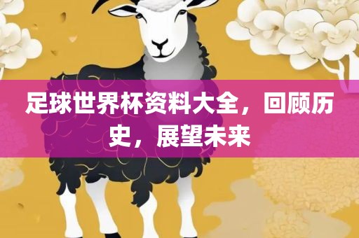 足球世界杯资料大全，回顾历史，展望未来