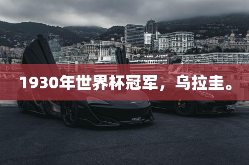 1930年世界杯冠军，乌拉圭。
