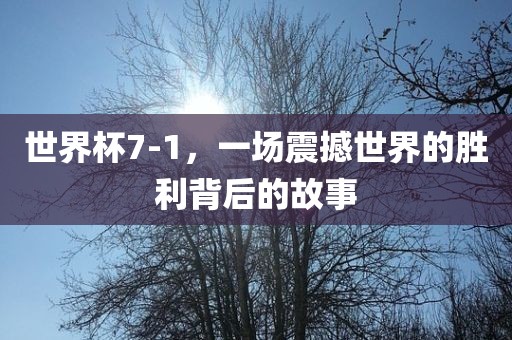 世界杯7-1，一场震撼世界的胜利背后的故事吉安市靖泰电力工程有限公司