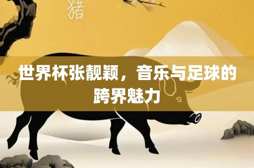 世界杯张靓颖，音乐与足球的跨界魅力