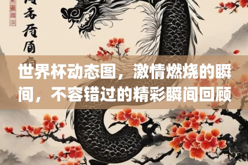 世界杯动态图，激情燃烧的瞬间，不容错过的精彩瞬间回顾