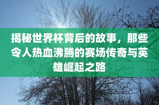 揭秘世界杯背后的故事，那些令人热血沸腾吉安市靖泰电力工程有限公司的赛场传奇与英雄崛起之路