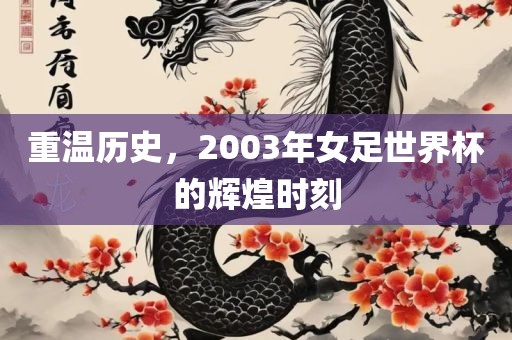 重温历史，2003年女足世界杯的辉煌时刻吉安市靖泰电力工程有限公司