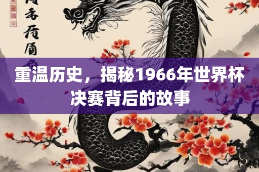 重温历史，揭秘1966年世界杯决赛背后的故事吉安市靖泰电力工程有限公司