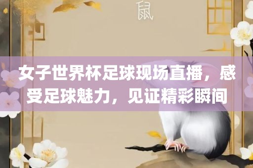 女子世界杯足球现场直播，感受足球魅力，见证精彩瞬间吉安市靖泰电力工程有限公司