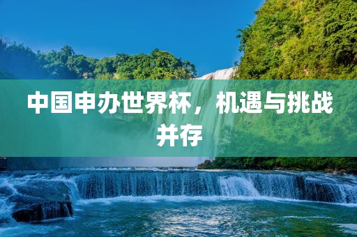 中国申办世界杯，机遇与挑战并存