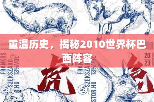 重温历史，揭秘2010世界杯巴西阵容吉安市靖泰电力工程有限公司