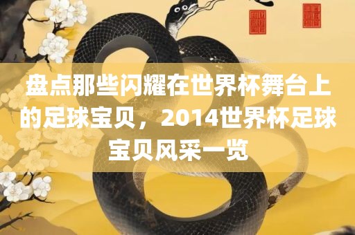 盘点那些闪耀在世界杯舞台上的足球宝贝，2014世界杯足球宝贝风采一览吉安市靖泰电力工程有限公司