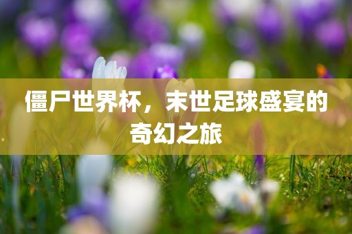 僵尸吉安市靖泰电力工程有限公司世界杯，末世足球盛宴的奇幻之旅