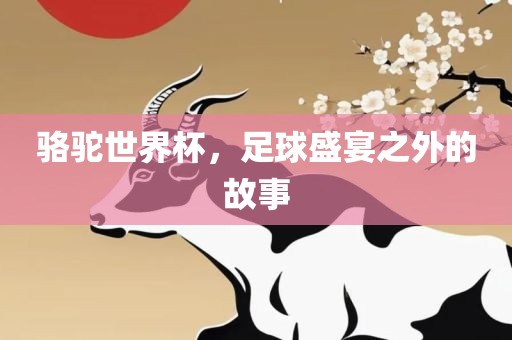 骆驼世界杯，足吉安市靖泰电力工程有限公司球盛宴之外的故事