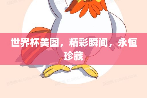 世界杯美图，精彩瞬间，永恒珍藏