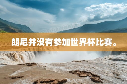 朗尼并没有参加世界杯比赛。吉安市靖泰电力工程有限公司