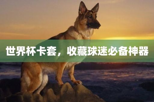 世界杯卡套，收藏球迷必备神器吉安市靖泰电力工程有限公司