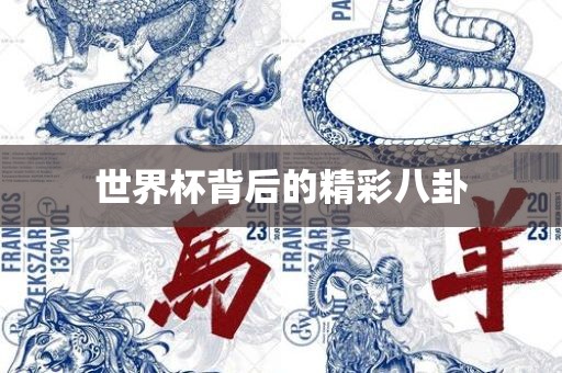 世界杯背后吉安市靖泰电力工程有限公司的精彩八卦