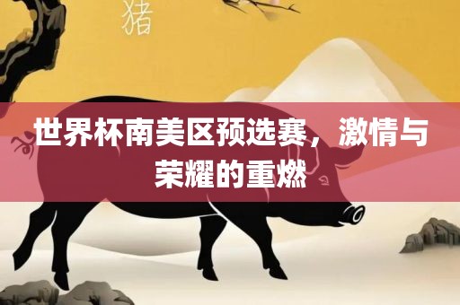 世界杯南美区预选赛，激情与荣耀的重燃