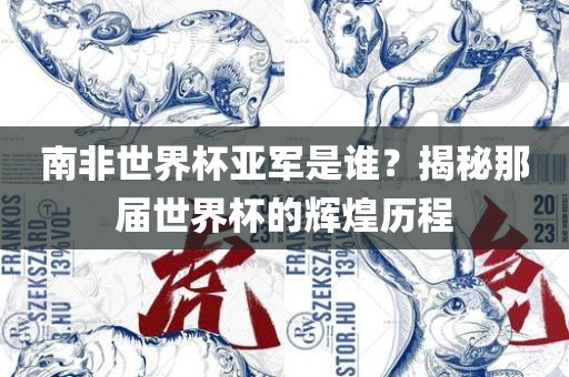 南非世界杯亚军是谁？揭秘那届世界杯的辉煌历程吉安市靖泰电力工程有限公司