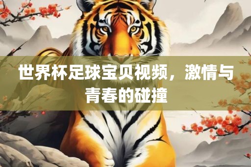 世界杯足球宝贝视频，吉安市靖泰电力工程有限公司激情与青春的碰撞