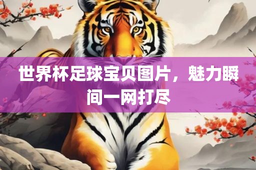 世界杯足球宝贝图片，魅力瞬间一网打尽