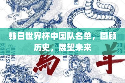 韩日世界杯中国队名单，回顾历史，展望未来吉安市靖泰电力工程有限公司