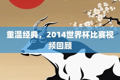 重温经典，2014世界杯比赛视频回顾吉安市靖泰电力工程有限公司