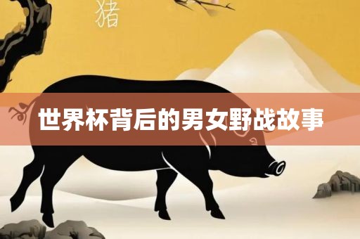 世界杯背后吉安市靖泰电力工程有限公司的男女野战故事