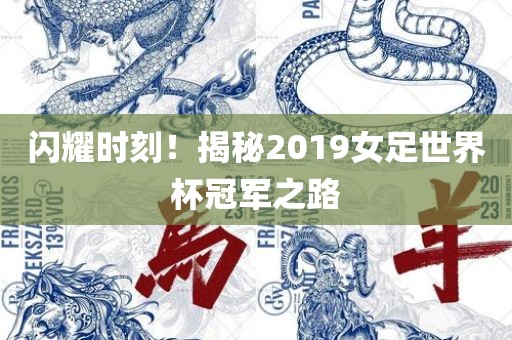 闪耀时刻！揭秘2019女足世界杯冠军之路吉安市靖泰电力工程有限公司