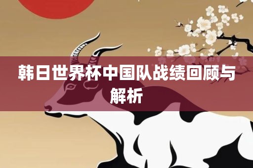 韩日世界杯中国队战绩回顾与解析吉安市靖泰电力工程有限公司
