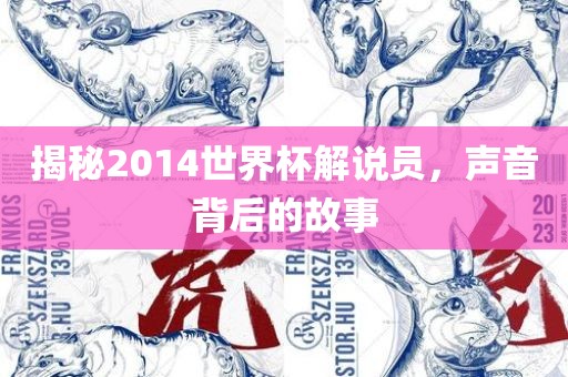 揭秘2014世界杯解说员，声音背后的故事吉安市靖泰电力工程有限公司