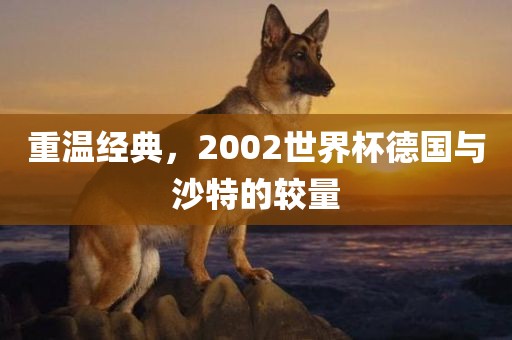 重温经典，2002世界杯德国与沙特的较量吉安市靖泰电力工程有限公司
