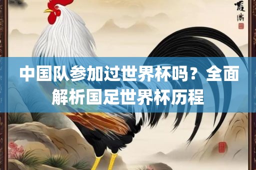 中国队参加过世界杯吗？全面解析国足世界杯历程吉安市靖泰电力工程有限公司